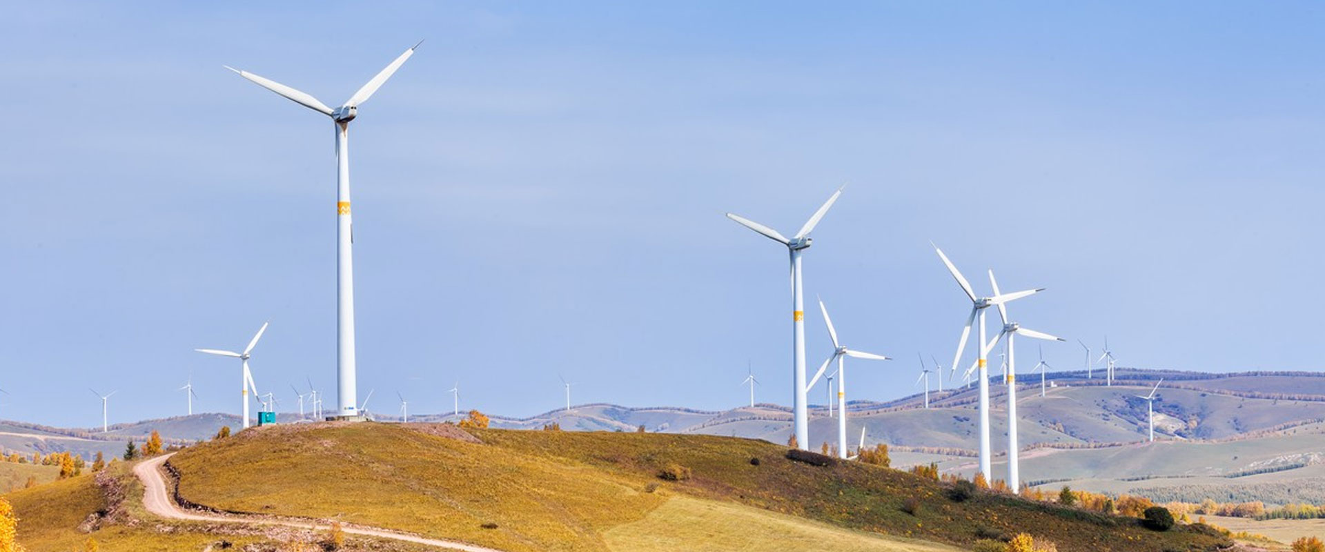 技術(shù)專(zhuān)業(yè)